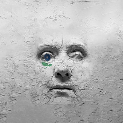 The poster has a textured, gray background resembling cracked dry clay. At the center, there is a sculptural face emerging from the surface, appearing as though molded from the same cracked material. The face looks weathered and expressionless, with deep shadows emphasizing its details. On the left eye socket of the face, there is a small, delicate blue flower with a green stem and two leaves, standing out against the monochromatic background. The title,