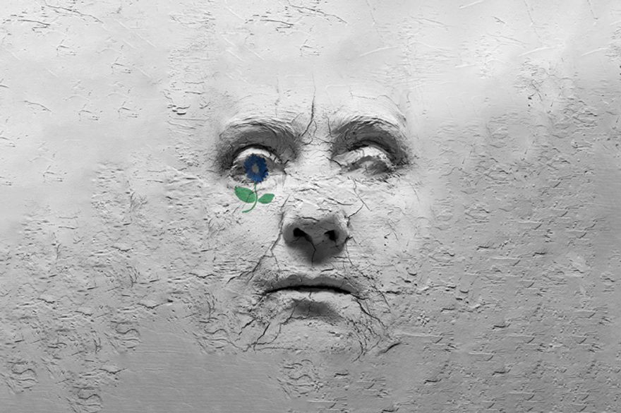 The poster has a textured, gray background resembling cracked dry clay. At the center, there is a sculptural face emerging from the surface, appearing as though molded from the same cracked material. The face looks weathered and expressionless, with deep shadows emphasizing its details. On the left eye socket of the face, there is a small, delicate blue flower with a green stem and two leaves, standing out against the monochromatic background.